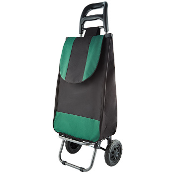 Тележка багажная ручная 25кг (сумка), 50кг (каркас) ТБР-20 зеленая с черным